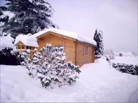 Apartment Juengst Winterberg Exterior photo